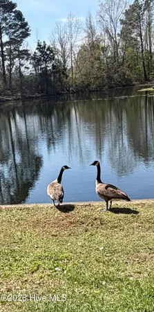 $1,250,000 | 4106 Old Cherry Point Road, New Bern, NC 28560