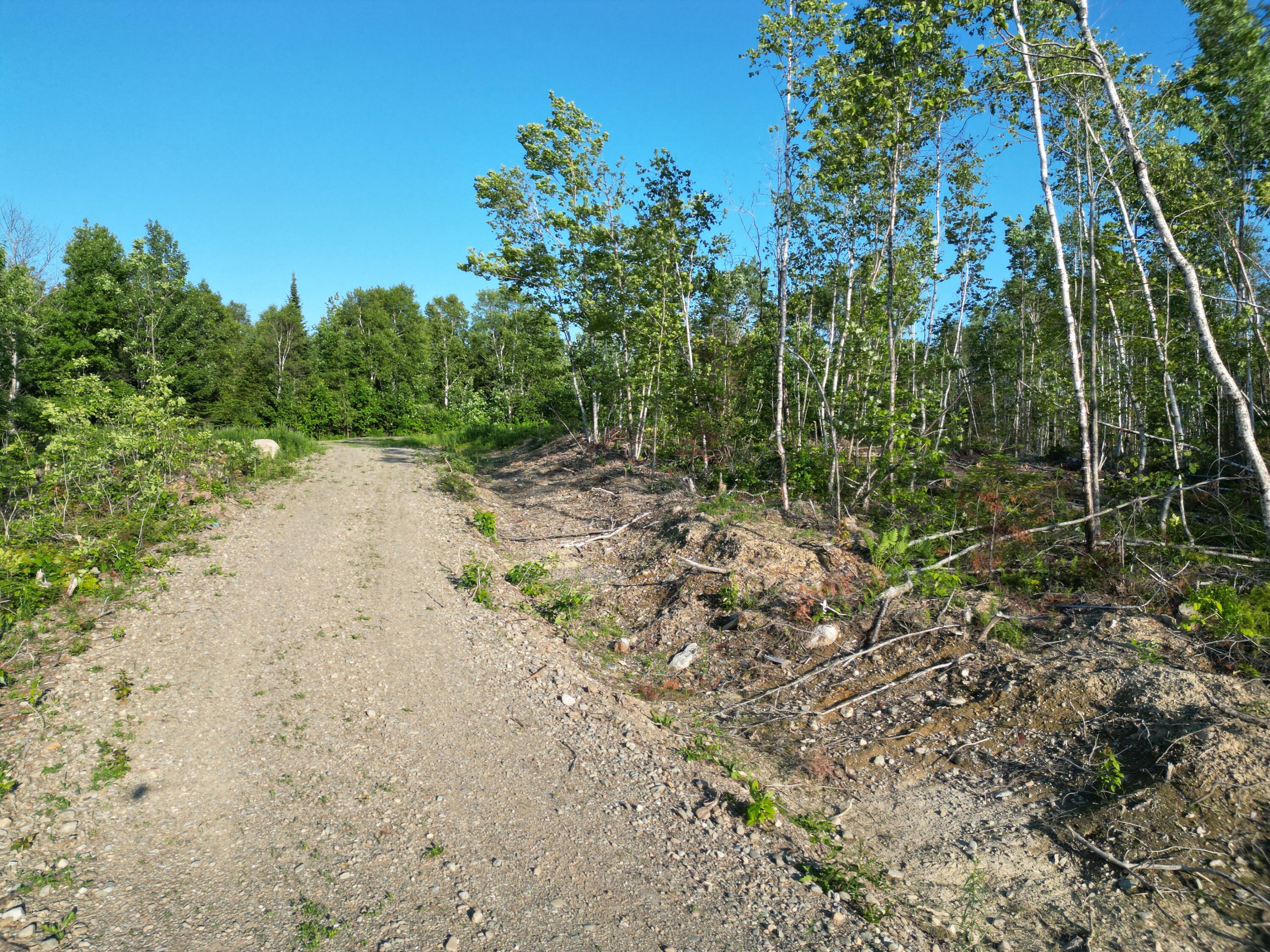 Lot 2 Sheepskin Road Carroll Plt, ME 04487 - Photo 13 of 15 DJI_0956