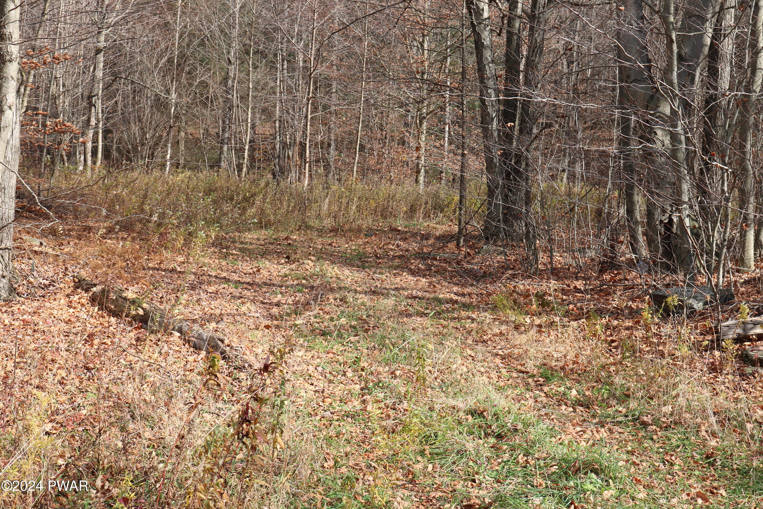0 Rose Hill Road Lake Como, PA 18437 - Photo 6 of 10