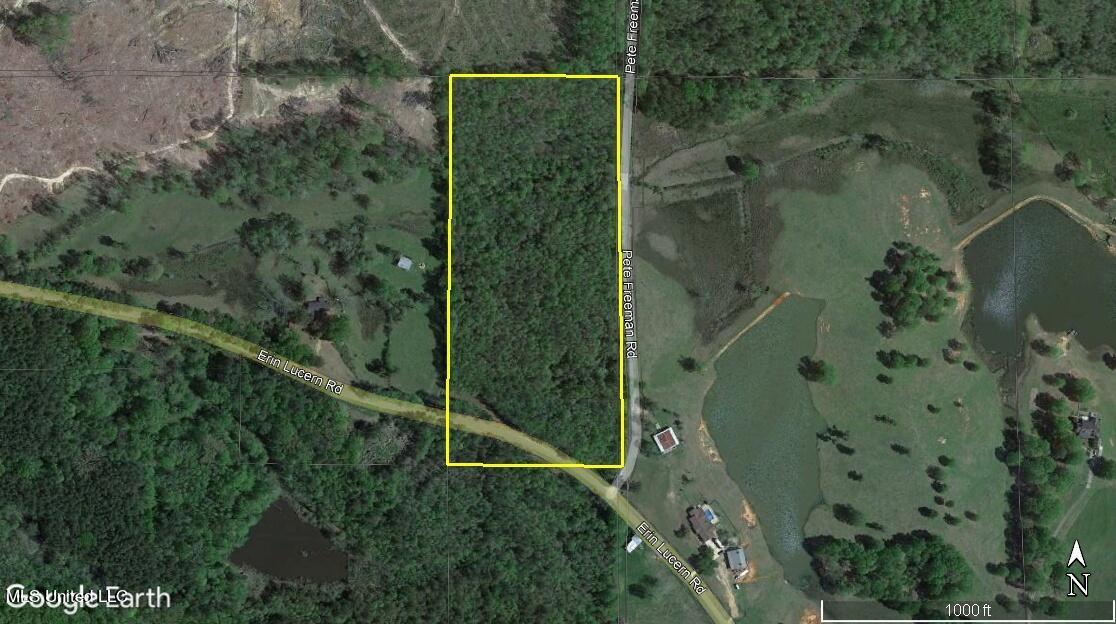 0 Pete Freeman Road Decatur, MS 39327 - Photo 6 of 7 Newton 17.5 map