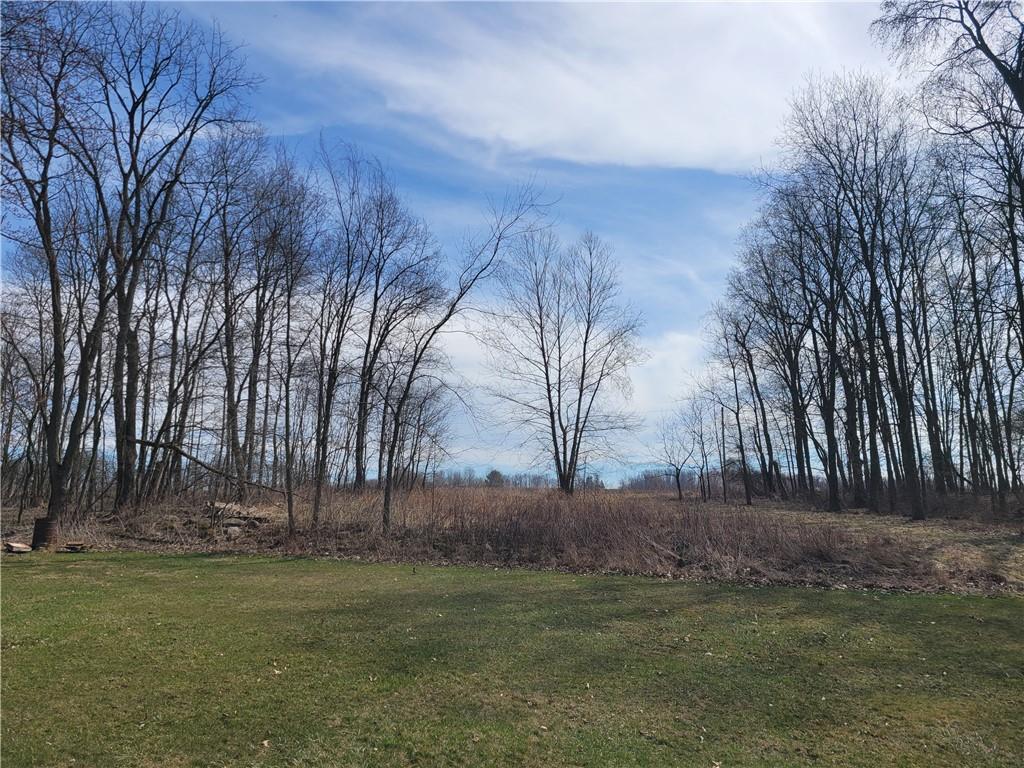 116 Willadell Road Transfer, PA 16154 - Photo 5 of 23 a view of backyard with green space