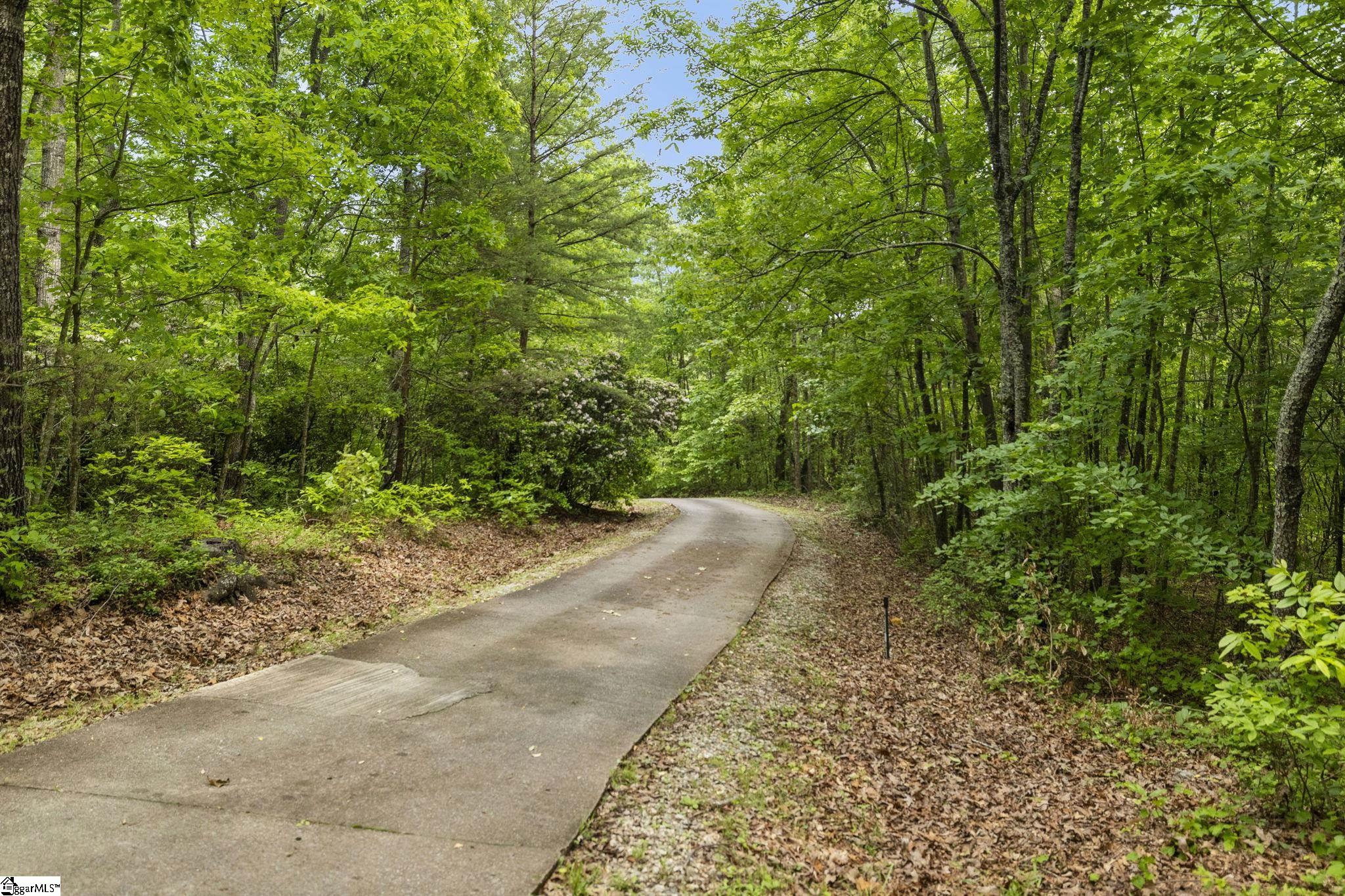 159 Edwards Road Marietta, SC 29661 - Photo 50 of 50