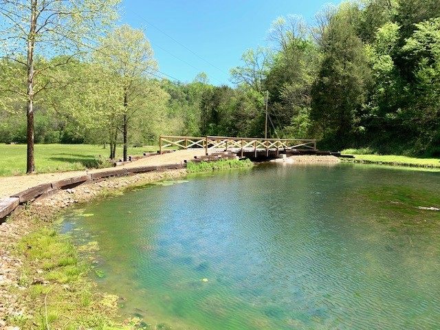 2286 Add Stafford Road Hilham, TN 38568 - Photo 46 of 50