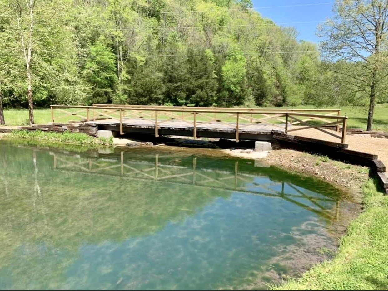 2286 Add Stafford Road Hilham, TN 38568 - Photo 10 of 50