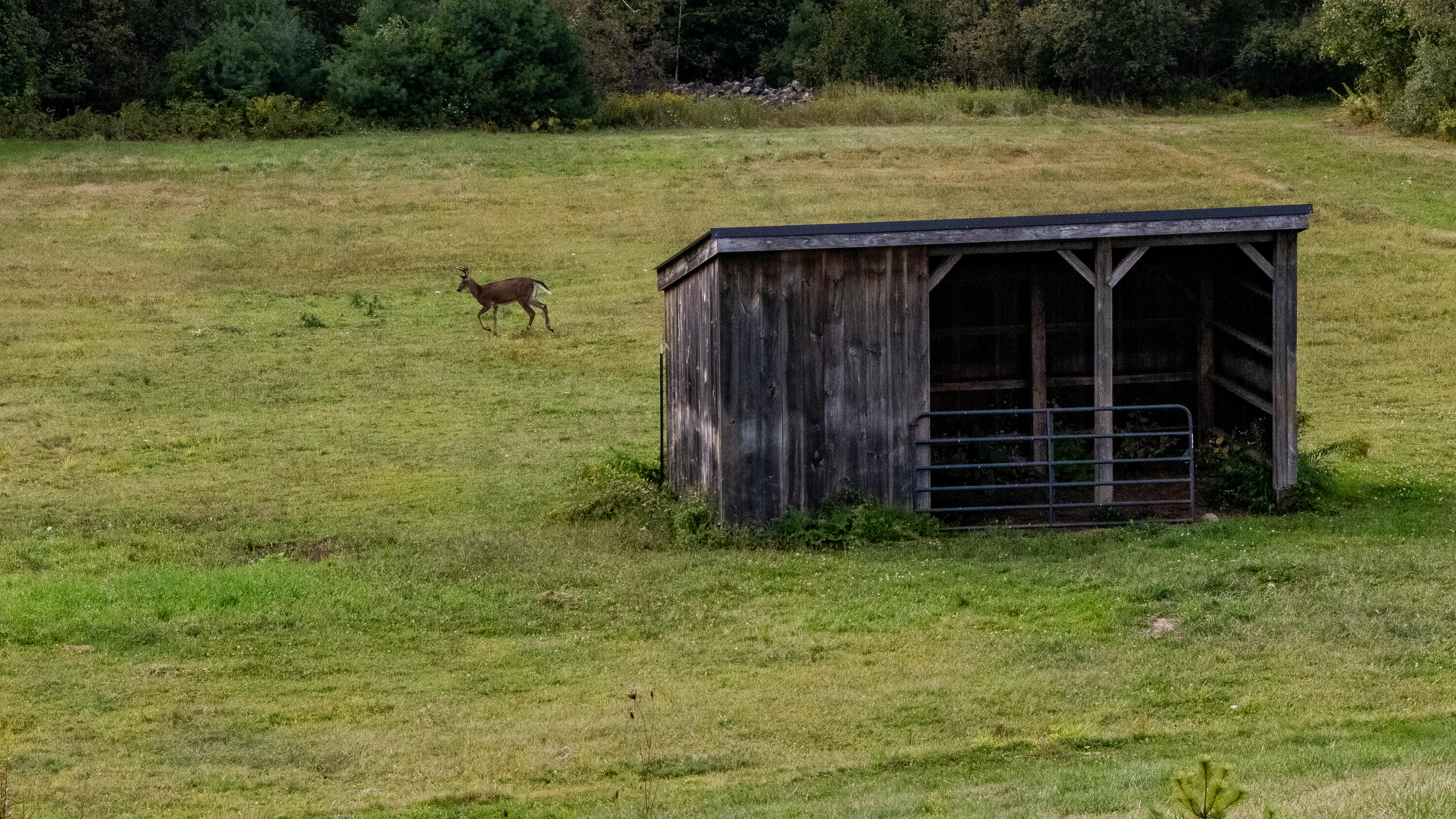 427 Mt Pisgah Road Winthrop, ME 04364 - Photo 172 of 245 427 Mt Pisgah Road 172
