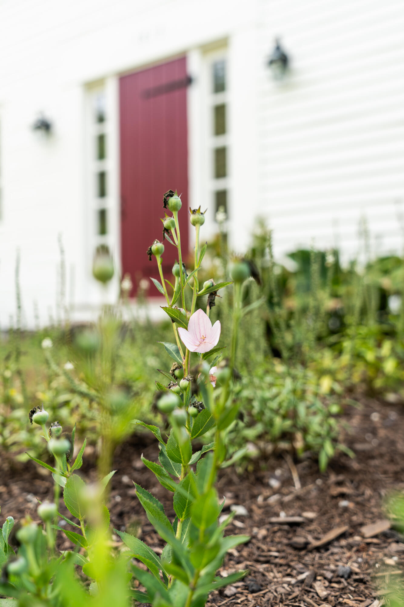 427 Mt Pisgah Road Winthrop, ME 04364 - Photo 231 of 245 427 Mt Pisgah Road 231