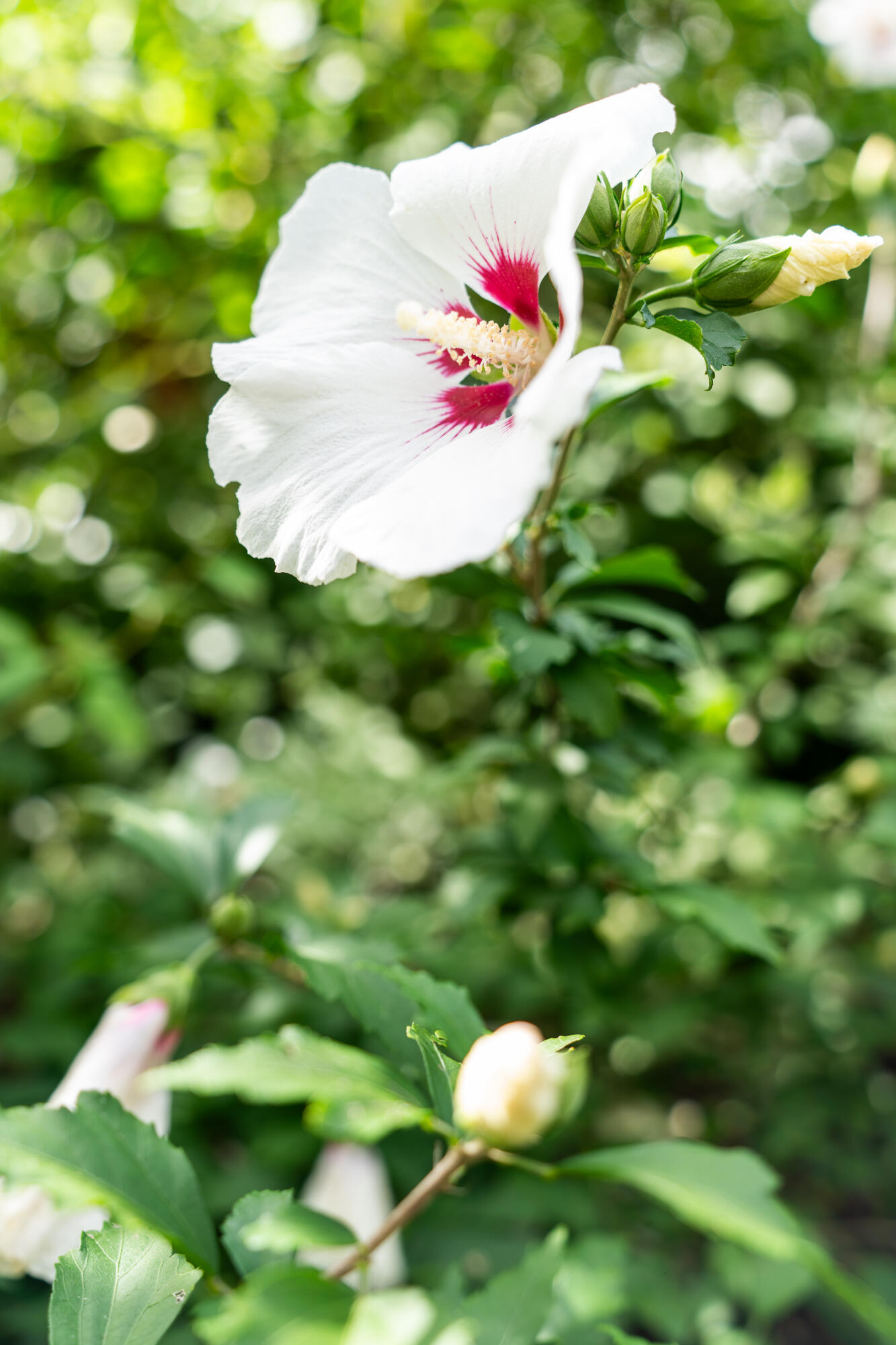427 Mt Pisgah Road Winthrop, ME 04364 - Photo 232 of 245 427 Mt Pisgah Road 232