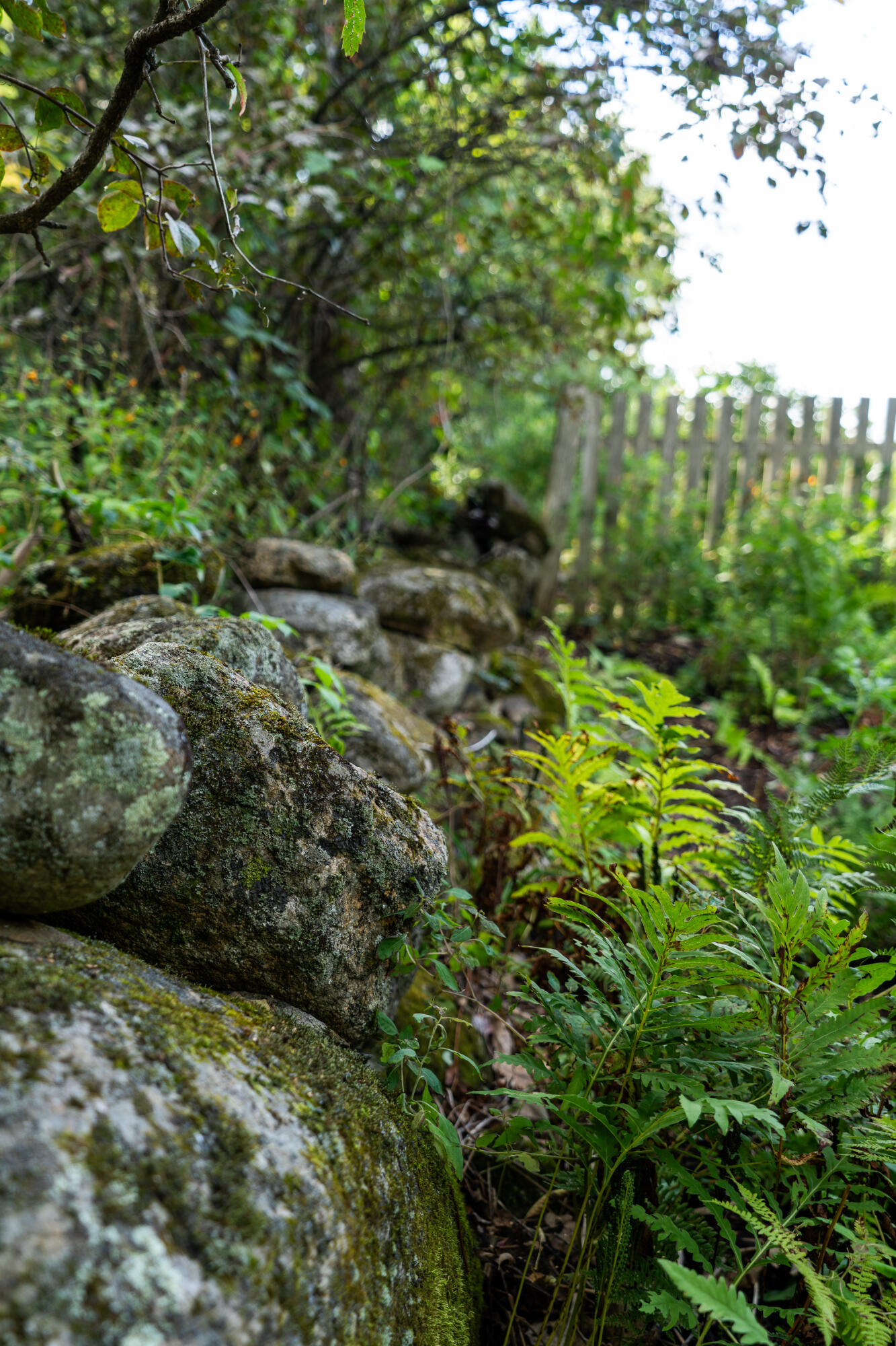 427 Mt Pisgah Road Winthrop, ME 04364 - Photo 234 of 245 427 Mt Pisgah Road 234