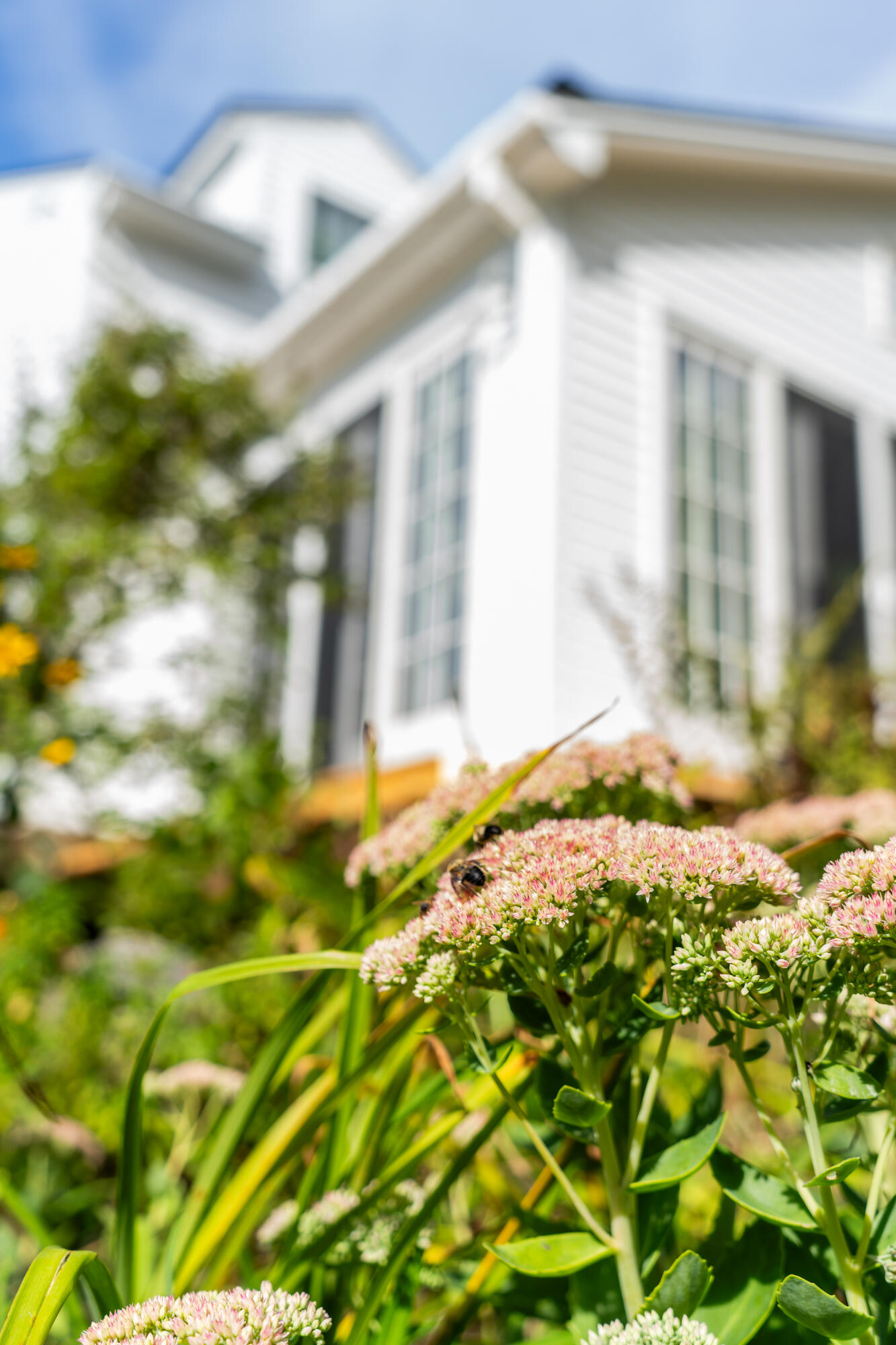 427 Mt Pisgah Road Winthrop, ME 04364 - Photo 237 of 245 427 Mt Pisgah Road 237