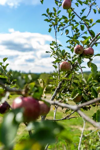 $900,000 | 427 Mt Pisgah Road, Winthrop, ME 04364