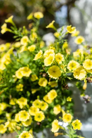 $900,000 | 427 Mt Pisgah Road, Winthrop, ME 04364