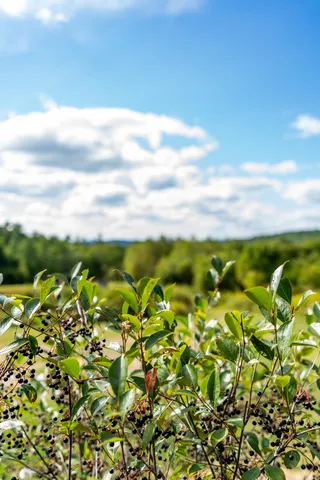 $900,000 | 427 Mt Pisgah Road, Winthrop, ME 04364