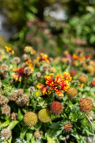 $900,000 | 427 Mt Pisgah Road, Winthrop, ME 04364