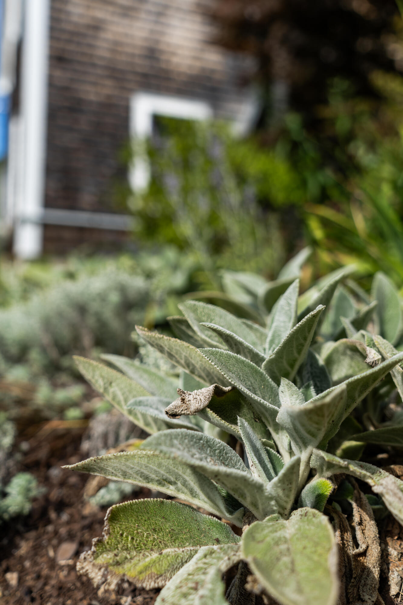 427 Mt Pisgah Road Winthrop, ME 04364 - Photo 243 of 245 427 Mt Pisgah Road 243