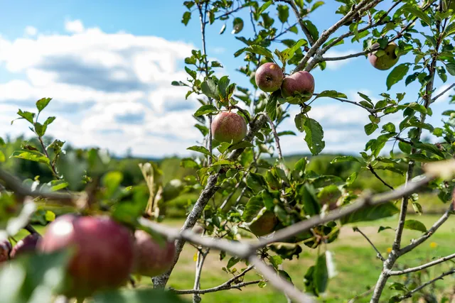 $900,000 | 427 Mt Pisgah Road, Winthrop, ME 04364