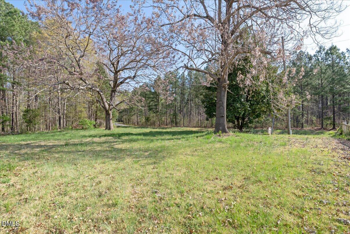 266 Macon-Embro Road Macon, NC 27551 - Photo 33 of 41 a view of outdoor space with trees all around