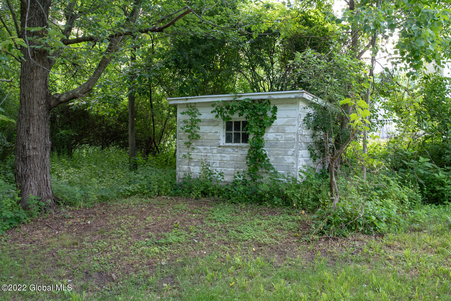 384 Brunswick Road Troy, NY 12180 - Photo 26 of 31 DSC_5480