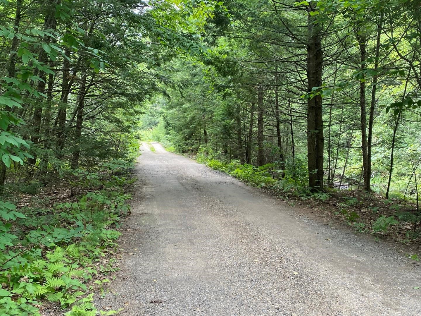 394 Stage Road Nottingham, NH 03291 - Photo 3 of 38