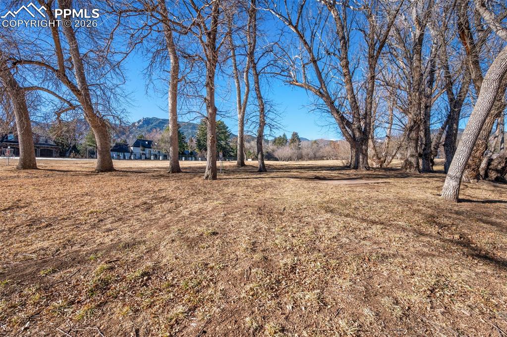 Pourtales Road Colorado Springs, CO 80906 - Photo 40 of 44 a tall tree in middle of a yard