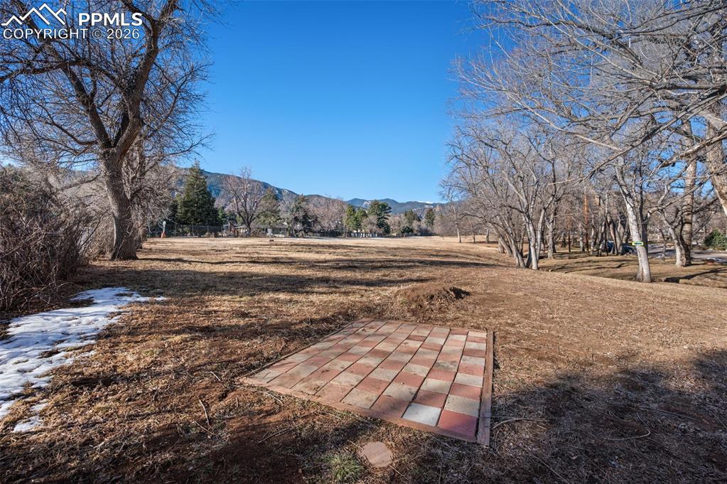 Pourtales Road Colorado Springs, CO 80906 - Photo 42 of 44 a view of dirt yard with a large tree