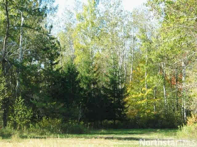 22739 Morse Road Frederic, WI 54837 - Photo 3 of 3