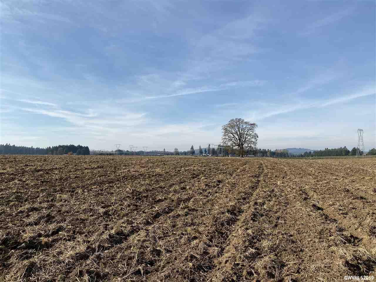 South Arthur (lot 903) Road Oregon City, OR 97045 - Photo 5 of 6