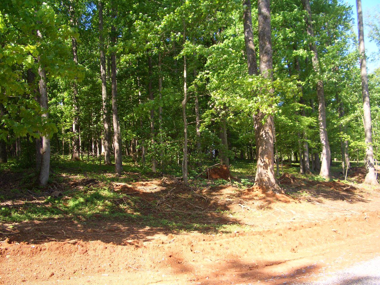 Lot 08 Dogwood Cove Road Spring City, TN 37381 - Photo 2 of 4 Lot8(2)