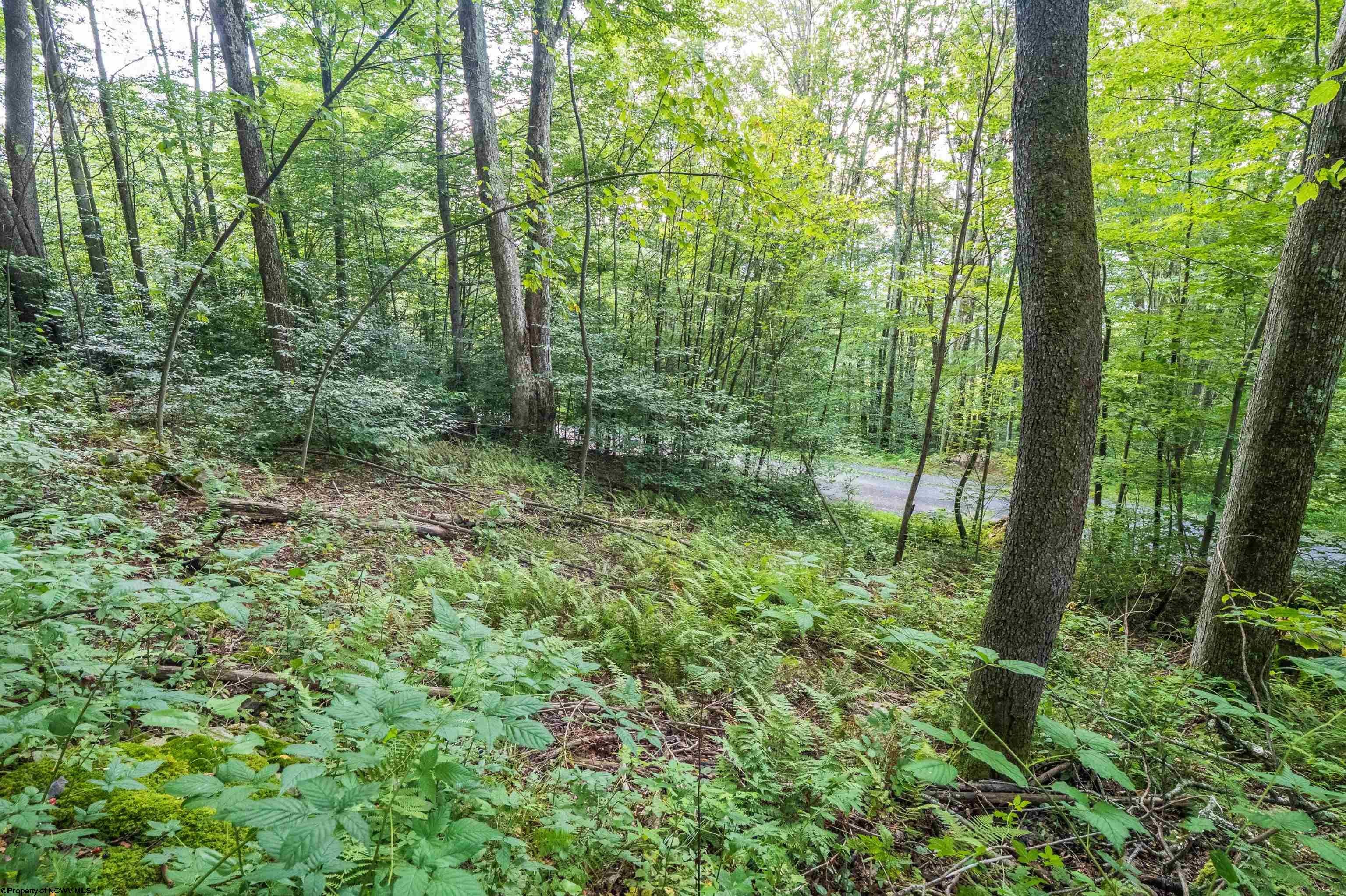 112 Hikers Challenge Road Davis, WV 26260 - Photo 9 of 23 Gallery Image 9