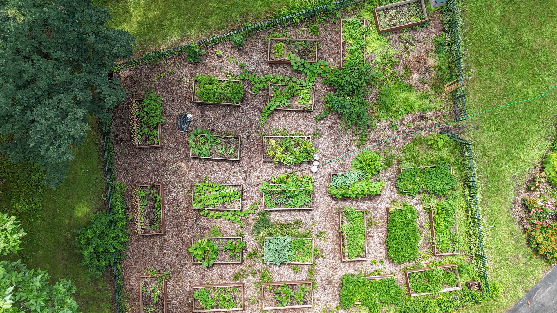 11N226 Peplow Road Hampshire, IL 60140 - Photo 31 of 44 an aerial view of residential house with outdoor space and trees all around