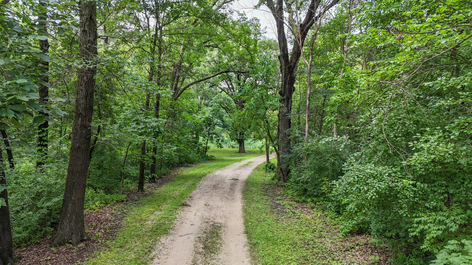 11N226 Peplow Road Hampshire, IL 60140 - Photo 33 of 44 a view of a lush green forest