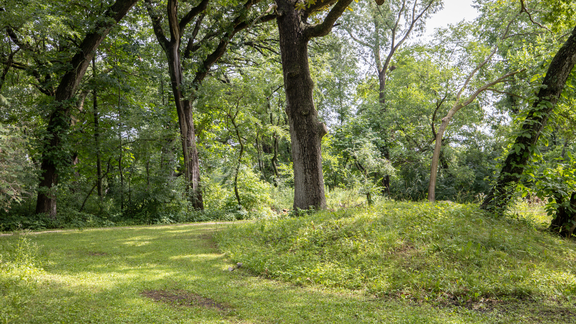11N226 Peplow Road Hampshire, IL 60140 - Photo 36 of 44 a view of backyard with green space