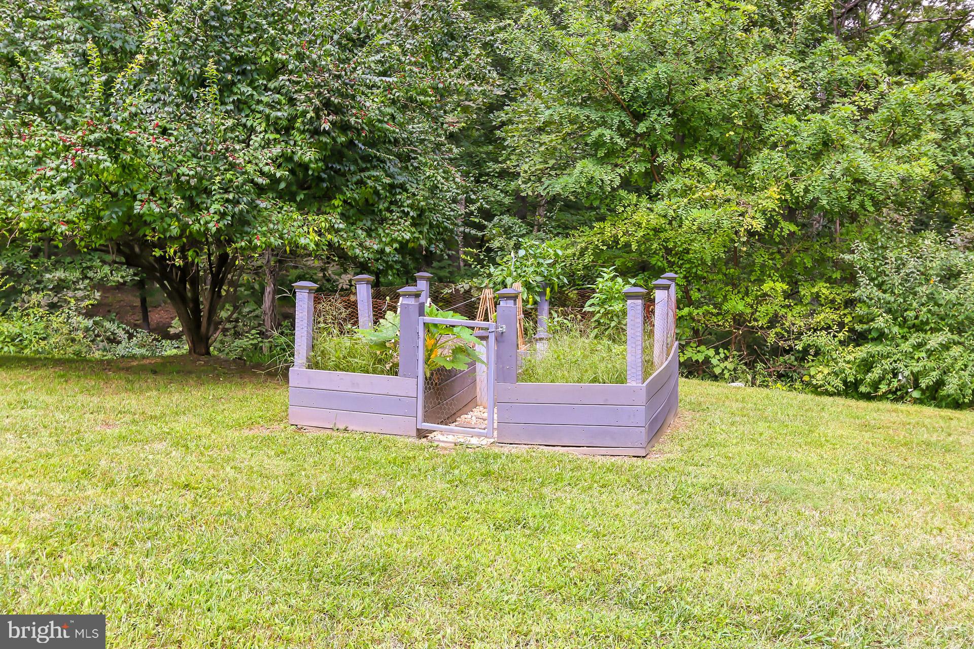 473 Pine Road Stephenson, VA 22656 - Photo 54 of 54 Gallery Image 54