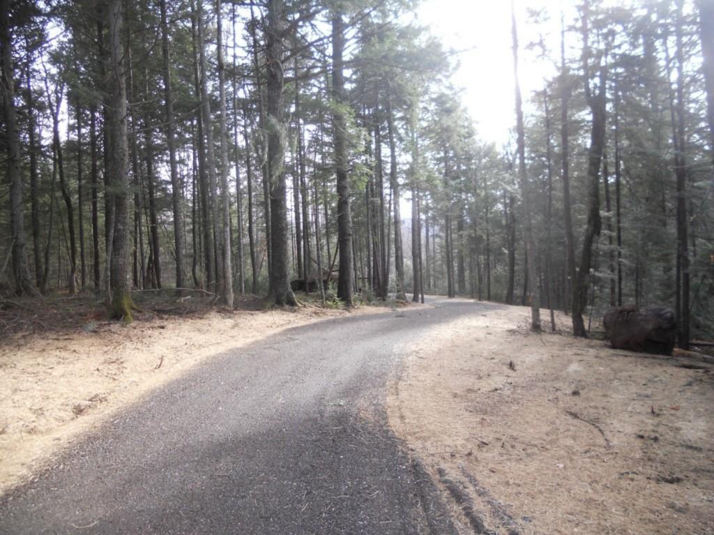 0 Allagash Road Beaver Cove, ME 04441 - Photo 7 of 8 New driveway through lot to...