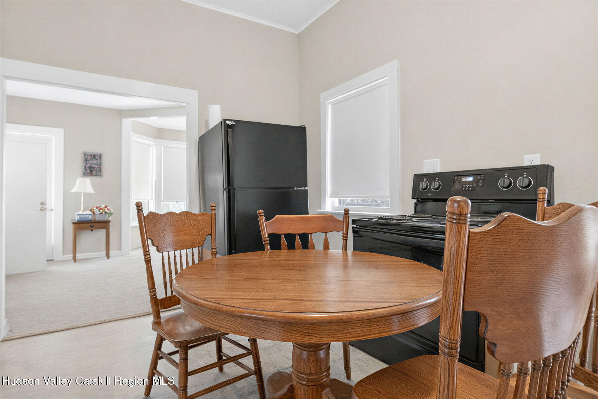 13 South Franklin Street, Unit 3 Athens, NY 12015 - Photo 8 of 55 a kitchen with stainless steel appliances granite countertop a dining table and chairs