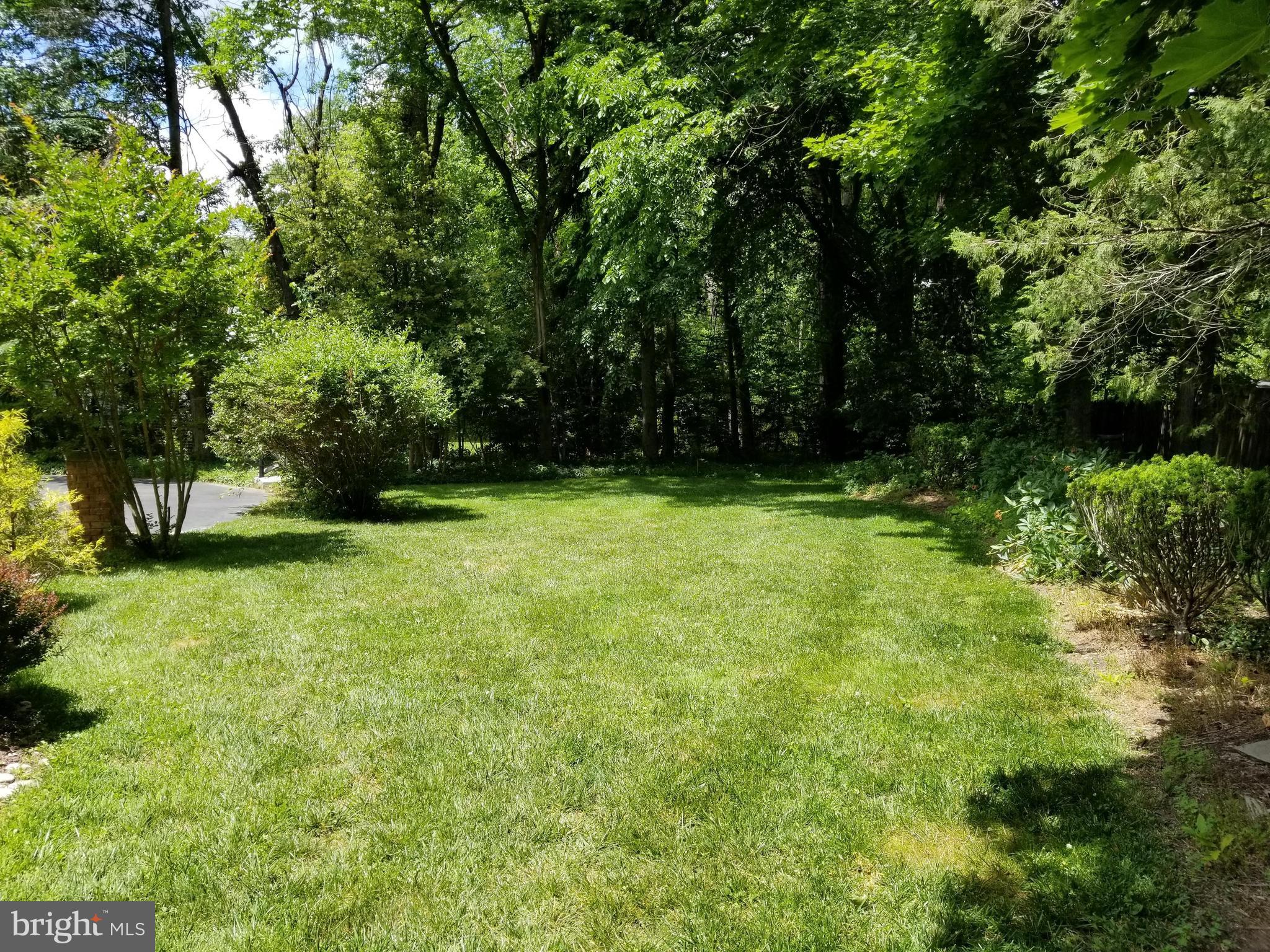 29 Wilson Road Princeton, NJ 08540 - Photo 6 of 25 Back yard with mature landscaping and plantings