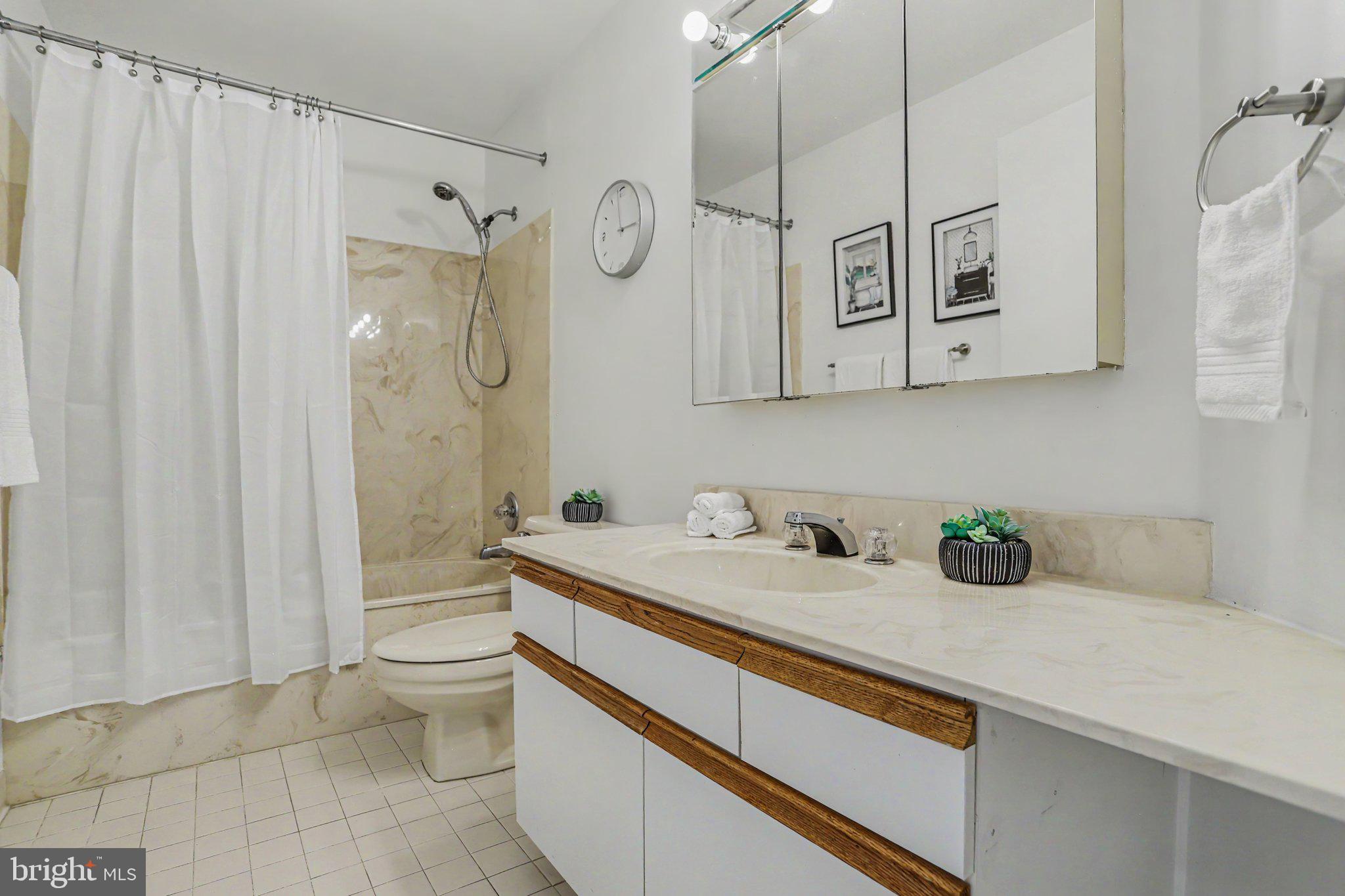 3041 Fallstaff Road, Unit 505D Baltimore, MD 21209 - Photo 17 of 26 Bathroom 2