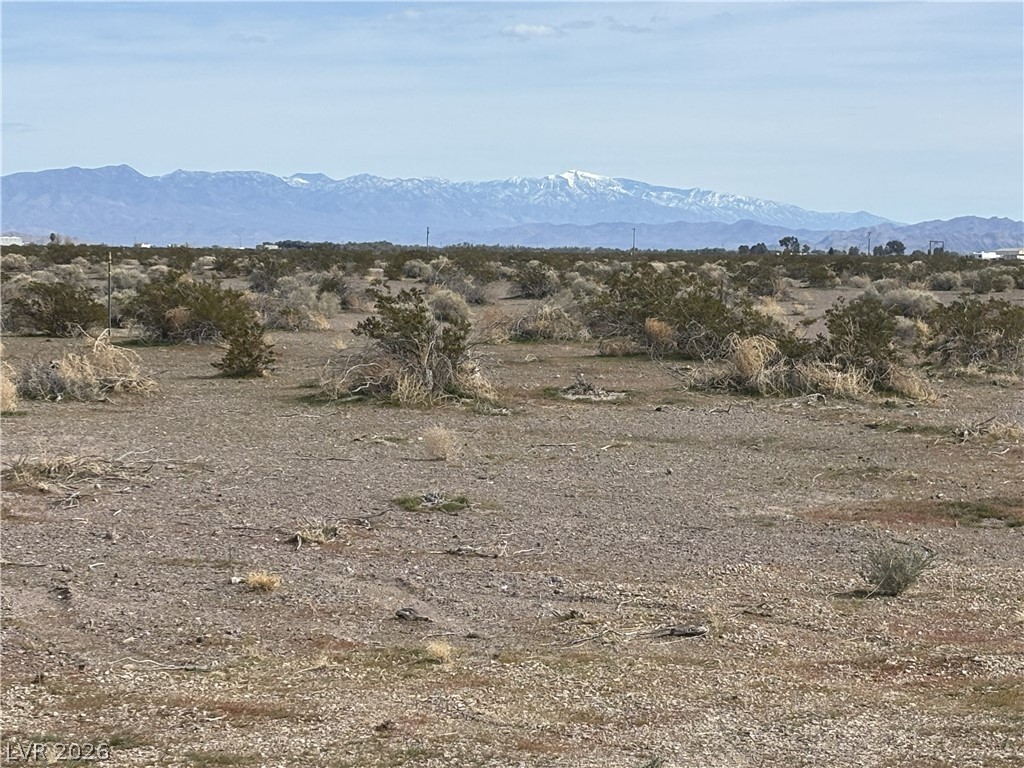 1719 Vassar Road Amargosa Valley, NV 89020 - Photo 3 of 9 awesome views