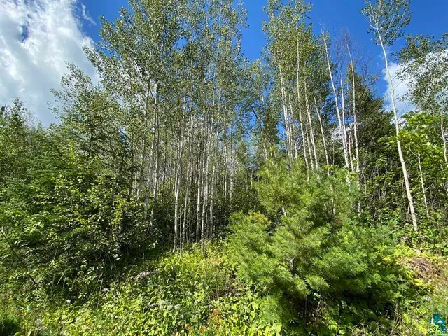 $55,000 | Xxc Xxc Pine, Lutsen, MN 55612