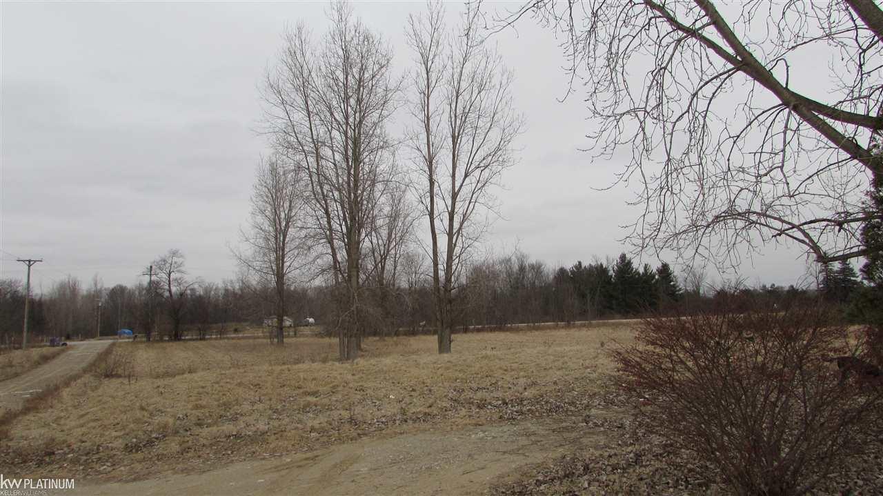 12797 Yale Road Yale, MI 48097 - Photo 12 of 23 31369942-11.JPG