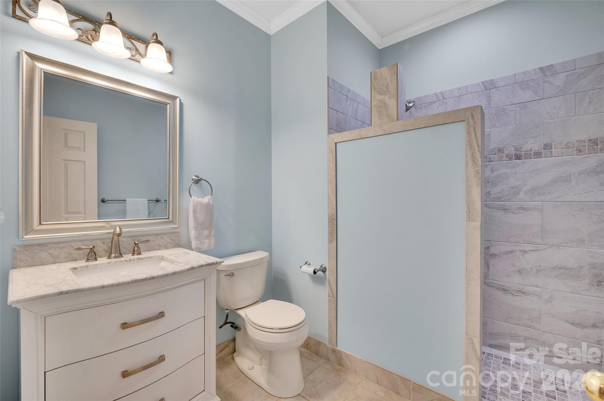 3001 River Bend Drive Tega Cay, SC 29708 - Photo 24 of 36 a bathroom with a toilet a sink a vanity and mirror