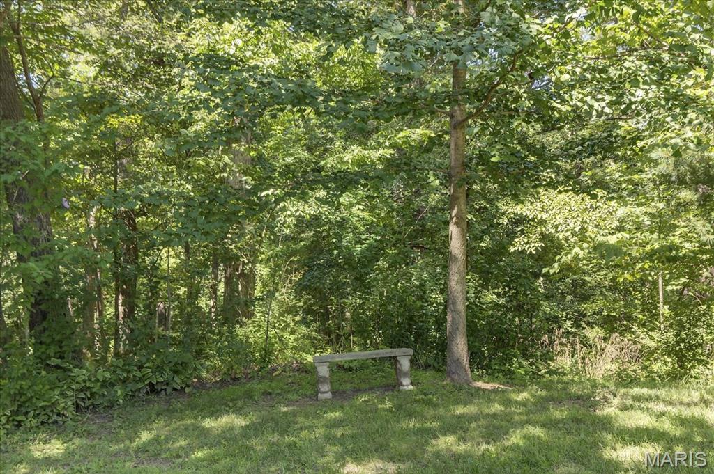 3019 Cedar Ridge Lane Waterloo, IL 62298 - Photo 32 of 42