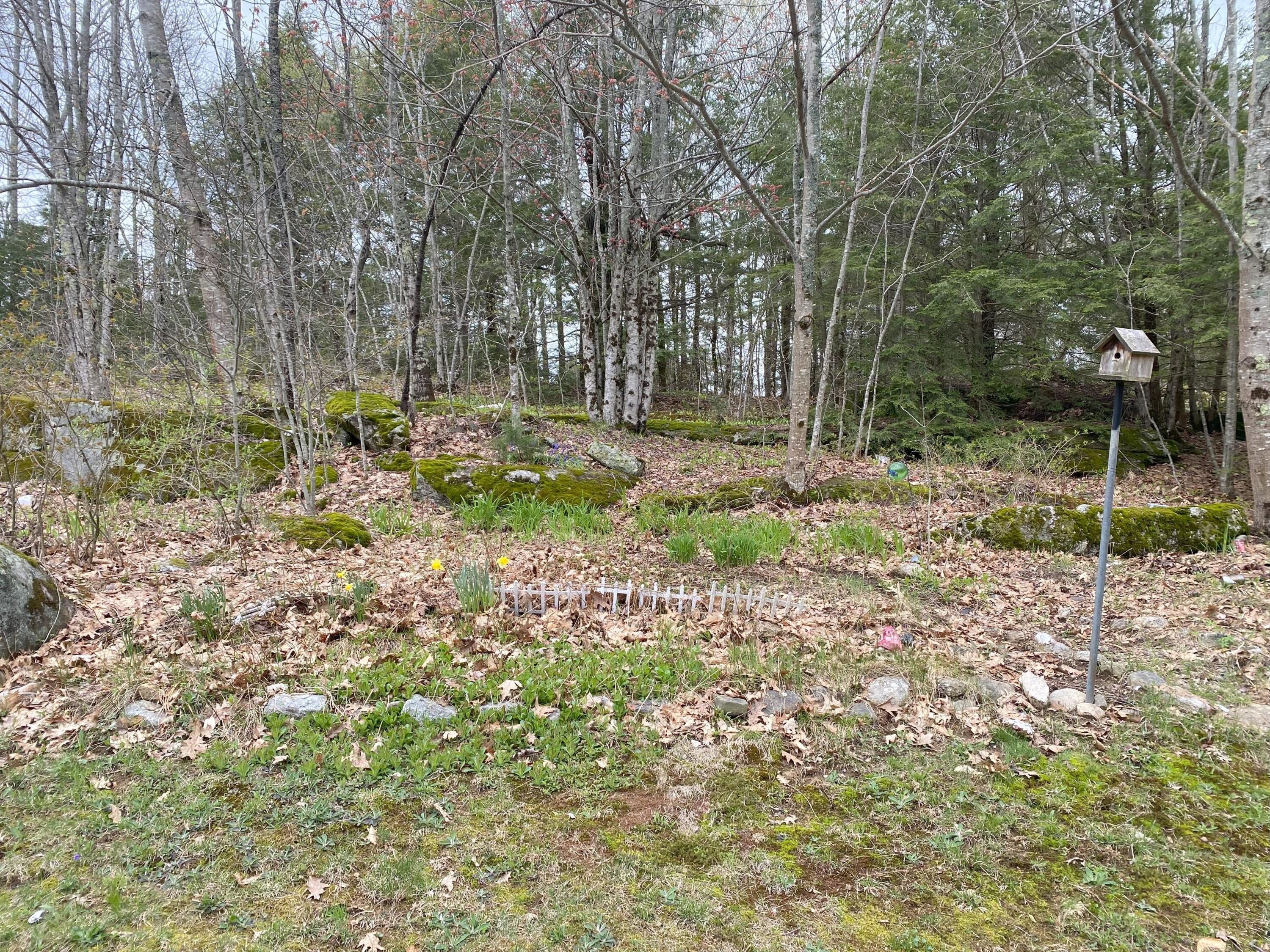 327 Dingley Road Bowdoinham, ME 04008 - Photo 4 of 29 Land/Lot