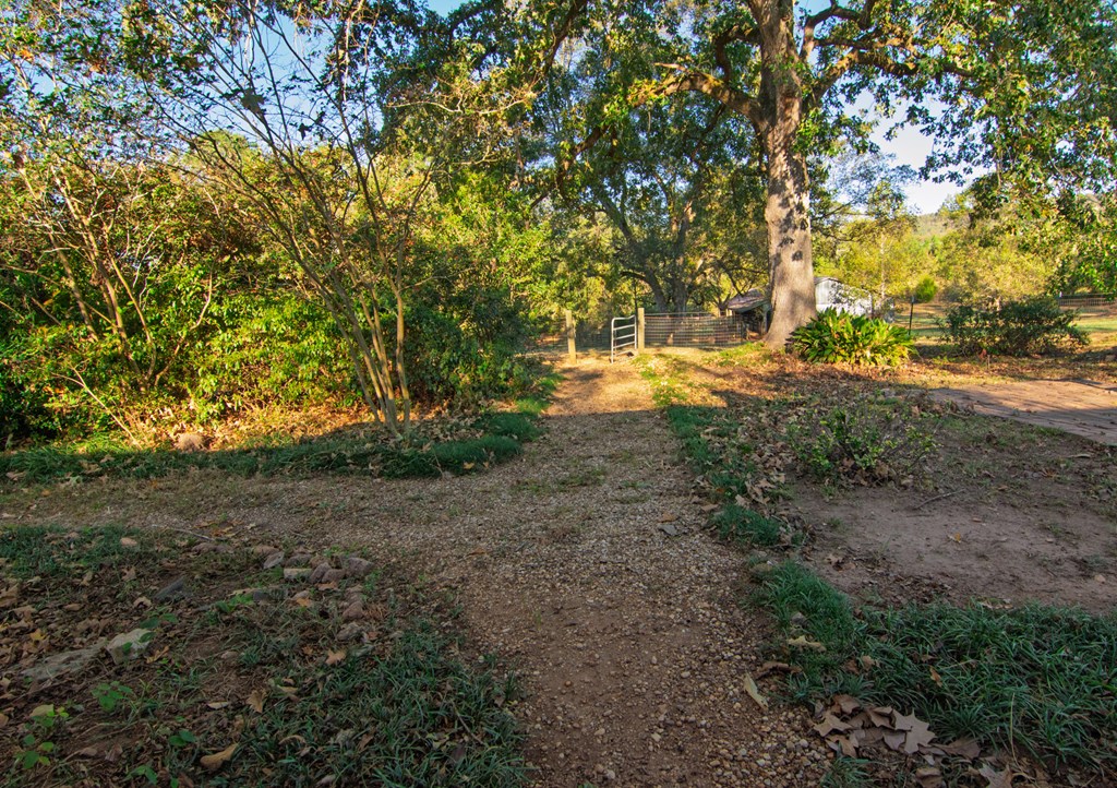 30 North G Street Hamilton, GA 31811 - Photo 17 of 35 a view of yard