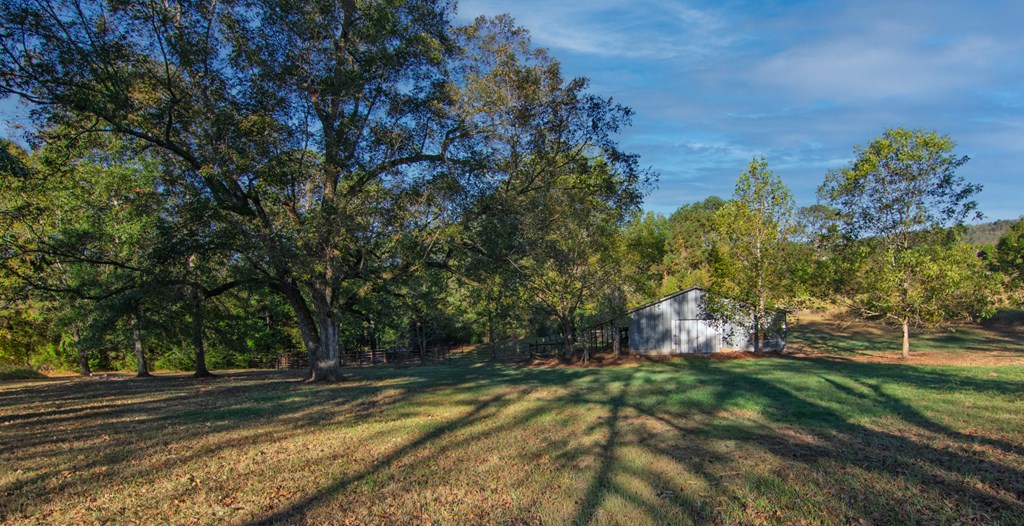 30 North G Street Hamilton, GA 31811 - Photo 18 of 35 a backyard of a house with lots of green space