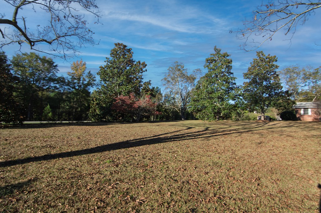 30 North G Street Hamilton, GA 31811 - Photo 19 of 35 a view of a yard with trees