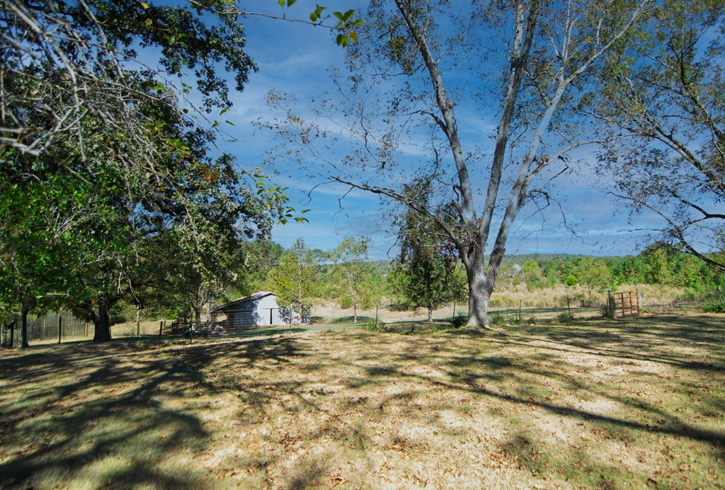 30 North G Street Hamilton, GA 31811 - Photo 20 of 35 a view of a yard with a tree