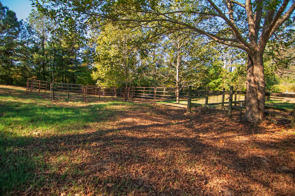 30 North G Street Hamilton, GA 31811 - Photo 27 of 35 a view of park