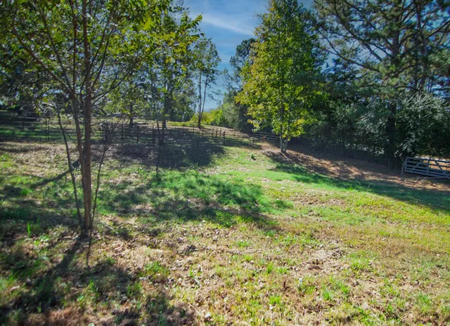a view of backyard with green space