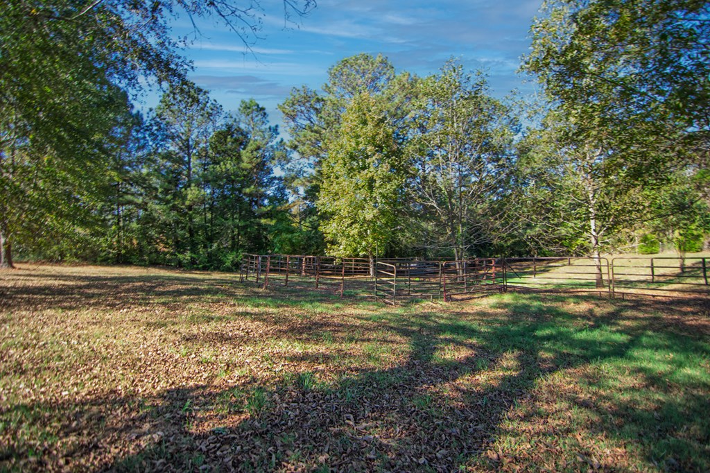30 North G Street Hamilton, GA 31811 - Photo 30 of 35 a view of a field with trees