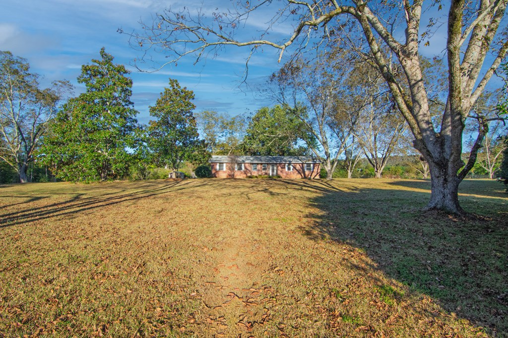 30 North G Street Hamilton, GA 31811 - Photo 3 of 35 a view of yard with large trees